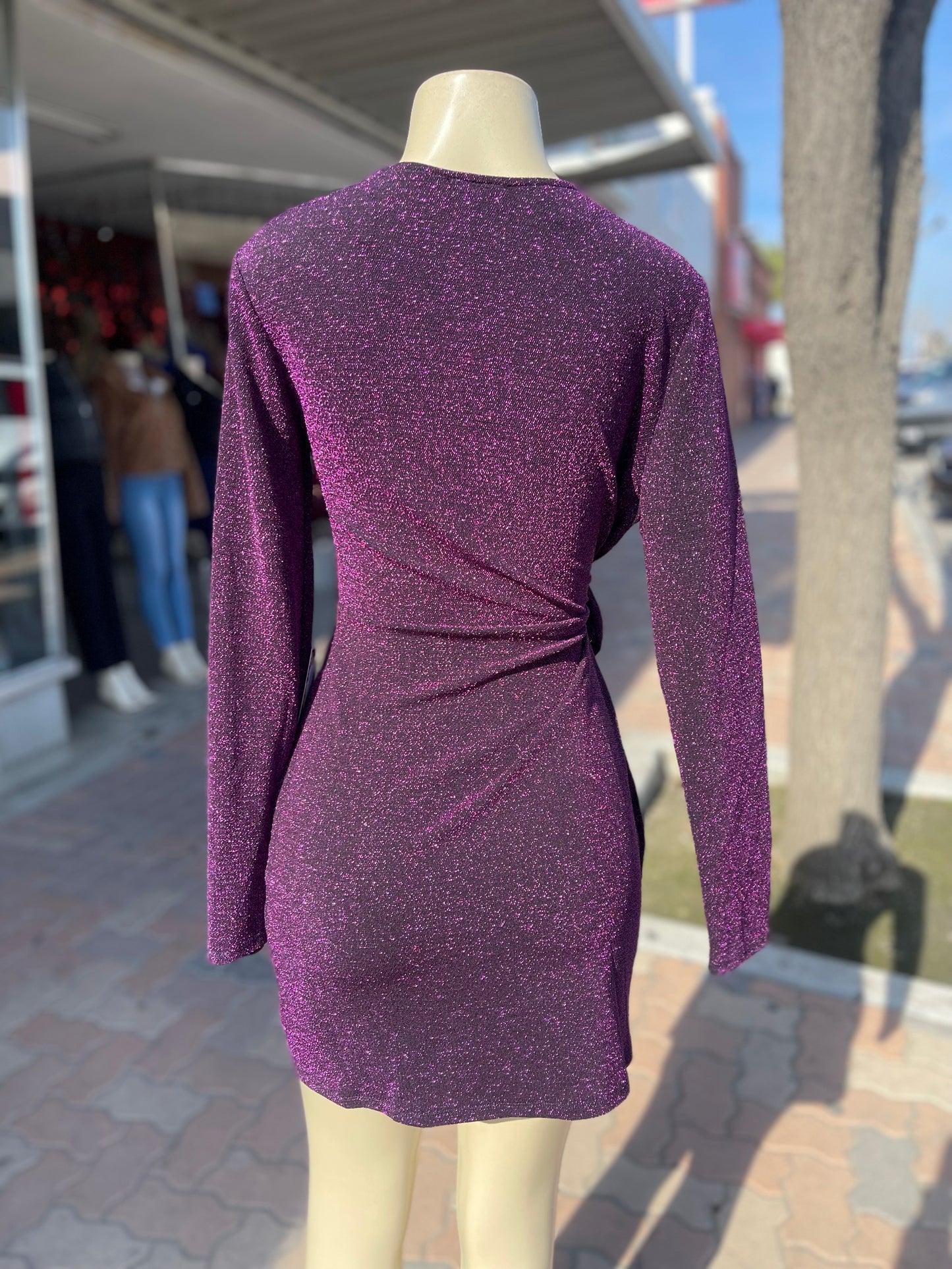 #37522D Purple Long Sleeve mini Dress