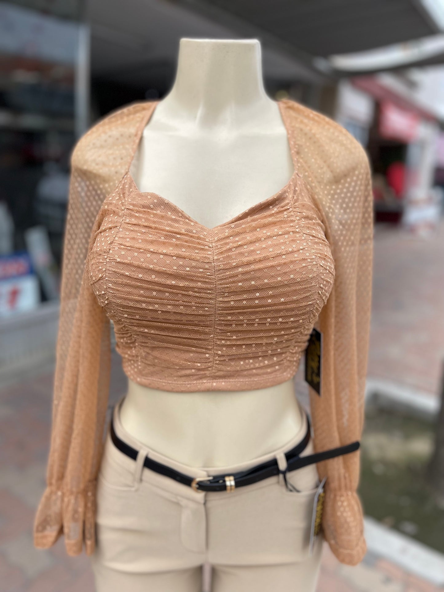 #MT3646 Burnt Orange Long Sleeve Mesh Crop Top